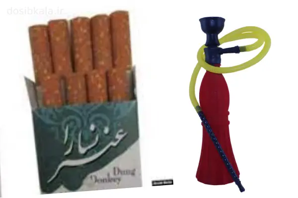 عنبر نسا چیست