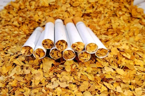What is fruit tobacco? Name its types